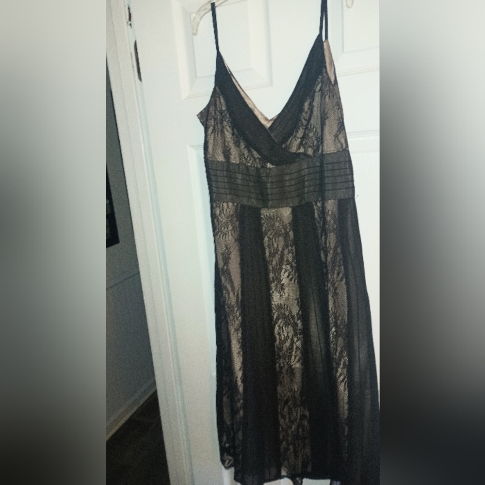 Loft black and tan cocktail dress